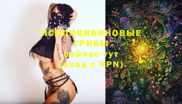 прущий лед Бронницы