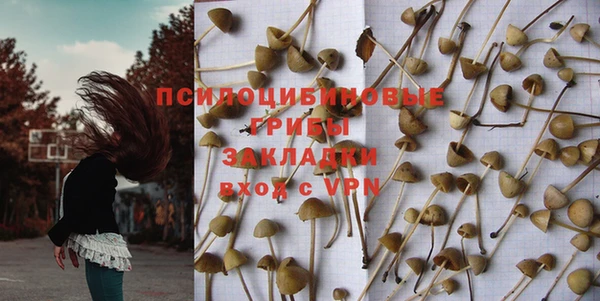 МДМА Бородино
