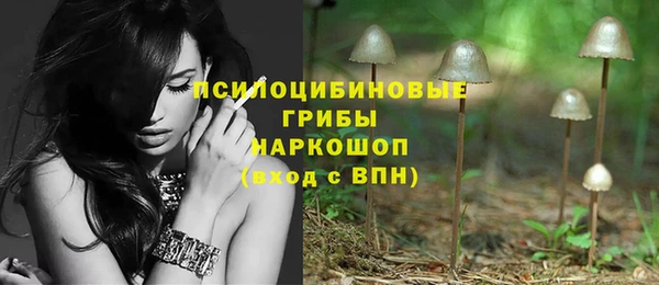 прущий лед Бронницы